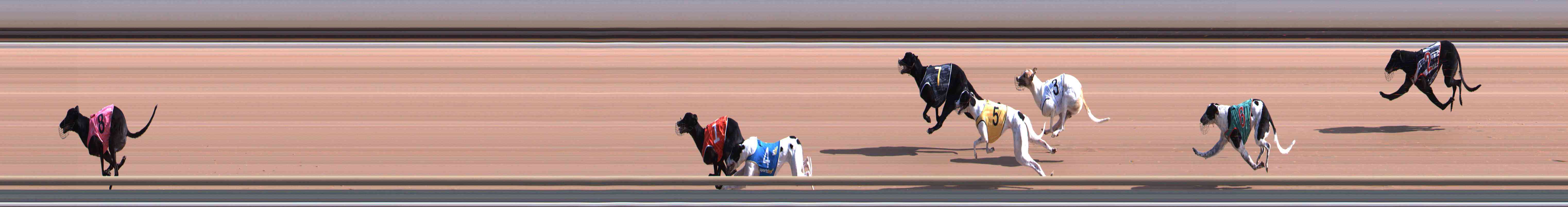 Race result finish photo